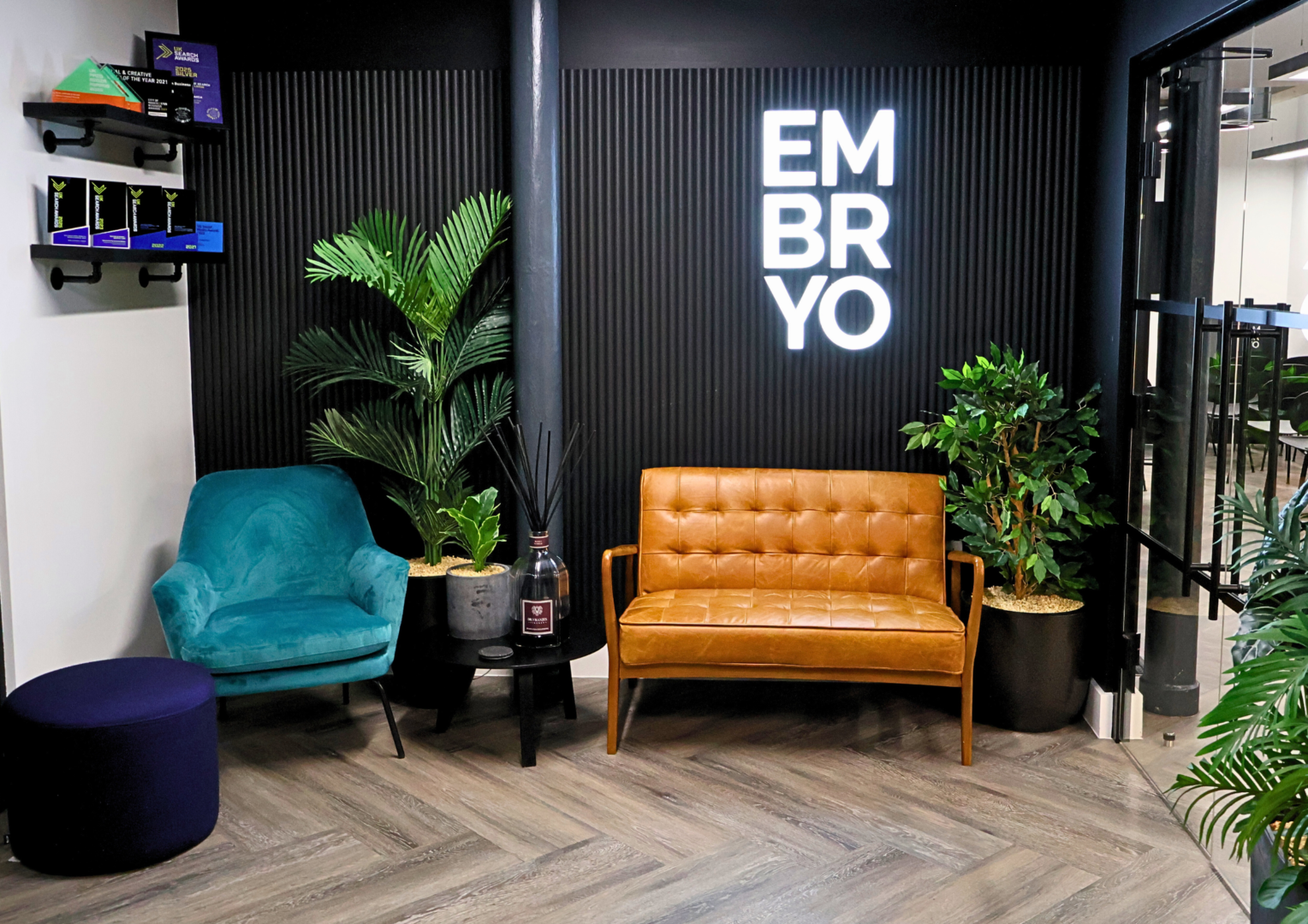 Embryo foyer